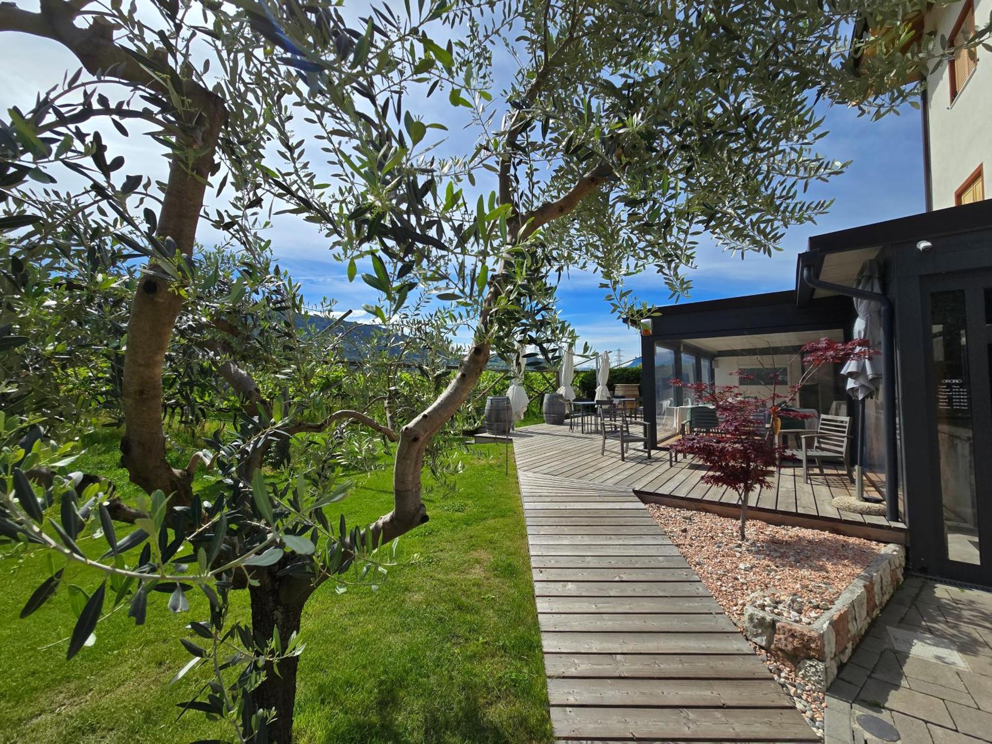 Antico Fienile Agritur Villa Mezzocorona Exterior photo