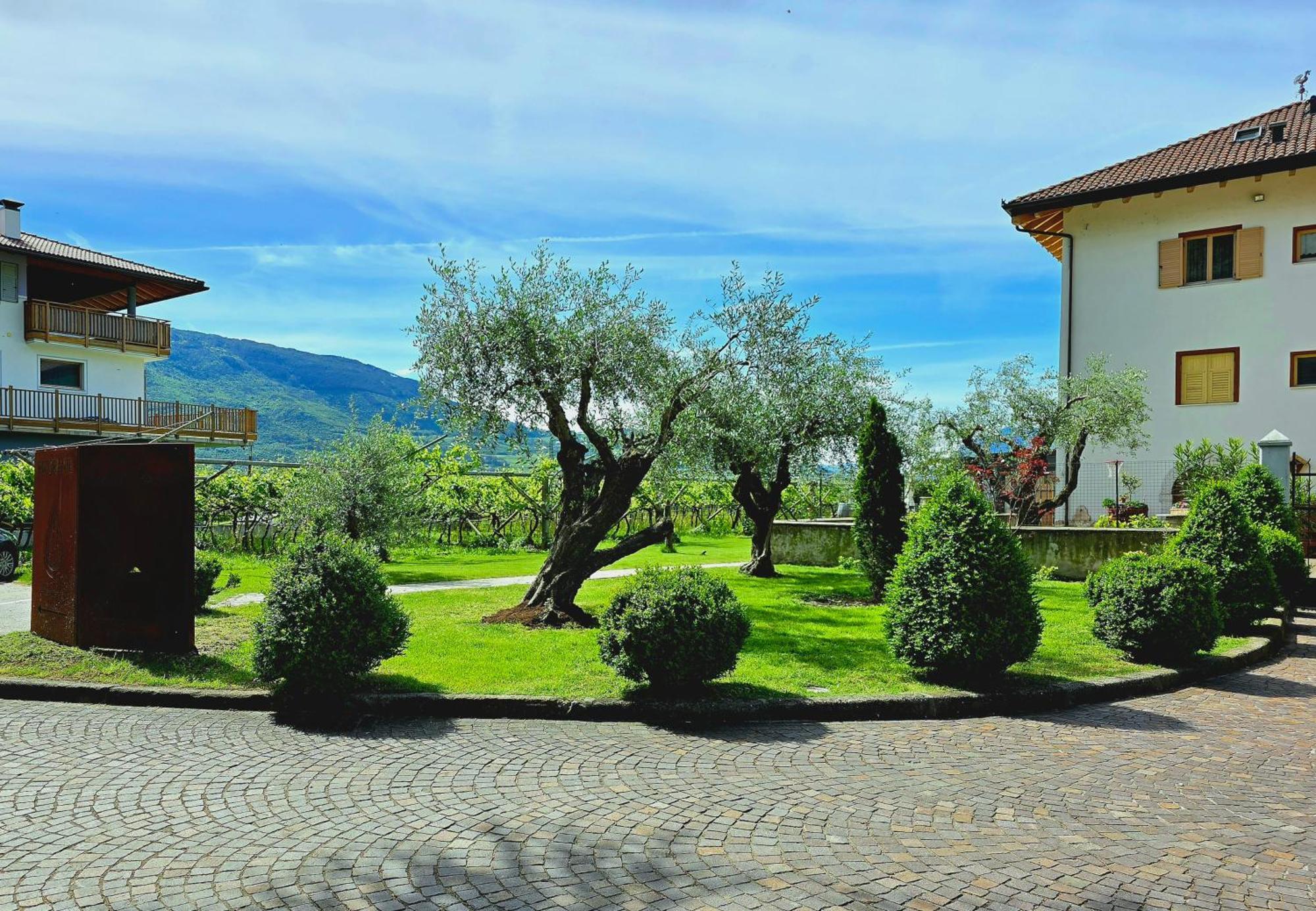 Antico Fienile Agritur Villa Mezzocorona Exterior photo